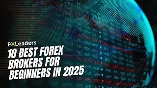 10 Best Forex Brokers for Beginners in 2025