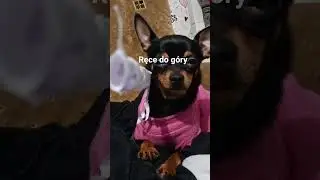 pierwszy napad