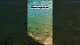 jadwalkan #fishing #mancingmania #fishingvideo #fish #mancing #MancingBareng