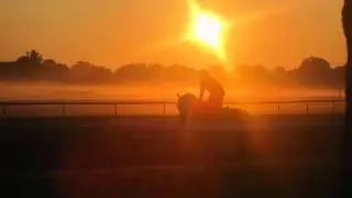 Saratoga morning training orange series