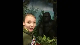 САВВА ЯЙЦА DEATH METAL 18