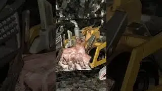 2016 год &mdash; Возвращение Robot Wars