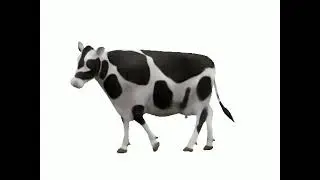 Latent Space Interpolation of a Cow