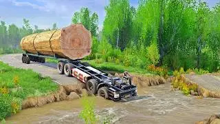 The HIDDEN DANGER of Extreme Timber Truck Routes