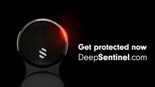 Deep Sentinel Review STOPPED by Deep Sentinel Guards Protecting Communities