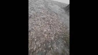 мы встретилили scp-909. Превращающий во что угодно