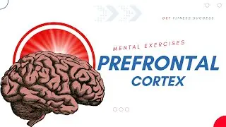 Prefrontal Cortex Exercises for Healing and Better Function