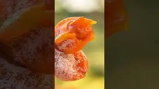 #fruittown #driedpersimmon #fruitexport #hoshigaki #kiwifruit www.freshfruittown.com