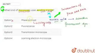What kind of microscopy uses acridine orange?