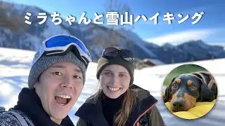 ミラちゃんと初めての雪山ハイキング！🐶【ドイツ・ミュンヘン】