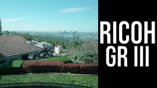 RICOH GR III - MT. COOT-THA SUMMIT LOOKOUT in BRISBANE (Classic Emulsion)・AUSTRALIA