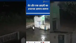 Viral CCTV Footage Shows Man&rsquo;s Narrow Escape from Lion in Junagadh