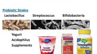 Functional Foods