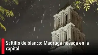 Saltillo de blanco: Madruga nevada en la capital