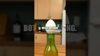 Egg in a Bottle Vacuum