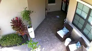 LaserShip delivering package