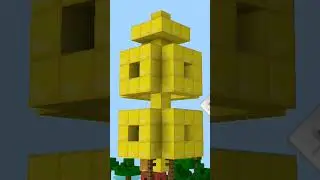 3T22A TURNS A ANIMATION!