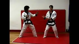 The Jumping Spinning Axe Kick in Soo Bahk Do