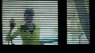 Felizol Feat. Dr. Hector - Lemonpie (Unofficial Video)