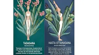 Tadasana (mountain pose) & Hasta uttanasana (raised hands pose) Anahata (heart) chakra
