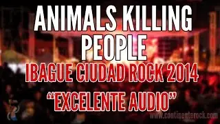 Animals Killing People - Full Concierto (Ibague Ciudad Rock 2014)