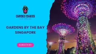 Gardens by the Bay with Kids | Singapore&rsquo;s Most Magical Family Day Out