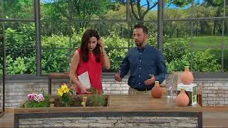 GrowOya Set of 2 Terra Cotta Porous Watering System on QVC