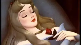 Sleeping Beauty - Battle With The Forces Of Evil