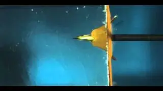 High Speed Video - Rage Broadhead