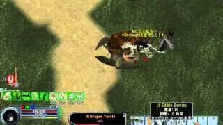Ultima Online Dragon Turtle Boss sampire solo