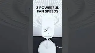 16" Pedestal Fan