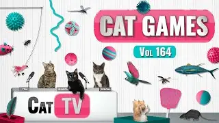 CAT Games | Ultimate Cat TV Compilation, том 163 | 8 ЧАСОВ 🐝🐞🦋🦎🦜🐜🐭🧵