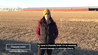 Celebrating Women in Ag - Chantelle Smith