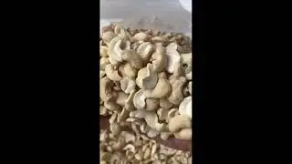 LP Cashew Nuts Vietnam Large Pieces Of Cashew Nuts LP Grade Available For Export From Vietnam