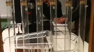 Raggi Catodici