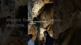 Before summer break was over, we visited the Lake Shasta Caverns. #lakeshasta