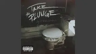 TAKE THE PLUNGE