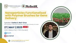 Nanoparticles Functionalised with Polymer Brushes for Gene Delivery | UNAM-UK Student Seminar