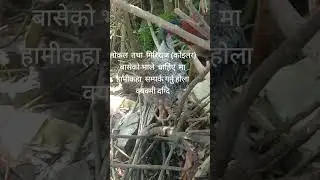 kukhurako bhale