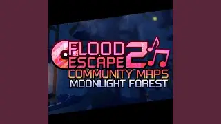 Moonlight Forest
