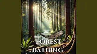 Tranquil Forest Escape