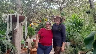Visitei a Floricultura da Marcia! Muita Planta linda