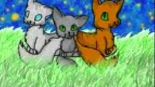 A Warrior Cats Tribute