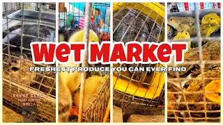 Wet Market | Fresh Produce | Frogs and Long Nose Turtle too????