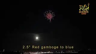 2,5