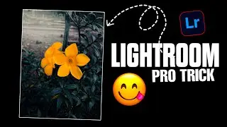Pro Lightroom Trick for Stunning Photo Editing 🔥