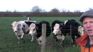 On the Farm January '15