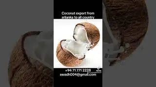Coconut export from Sri Lanka to all country