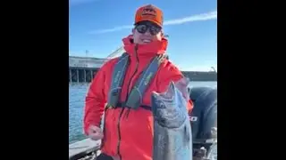 Coho Salmon Fishing- on the Columbia River/ Washington- October 2025