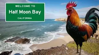 #ROKA FAMILY VLOG#EPISODE 07! #HALFMOON BAY! 